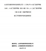 山東祥東新材料科技有限公司1.2萬(wàn)噸/年6-叔丁基鄰甲(60K)、4-叔丁基鄰甲酚(偏 24 酚)和 4，6-二叔丁基鄰甲酚(偏 246 酚)烷基甲酚項(xiàng)目竣工環(huán)境保護(hù)驗(yàn)收監(jiān)測(cè)報(bào)告